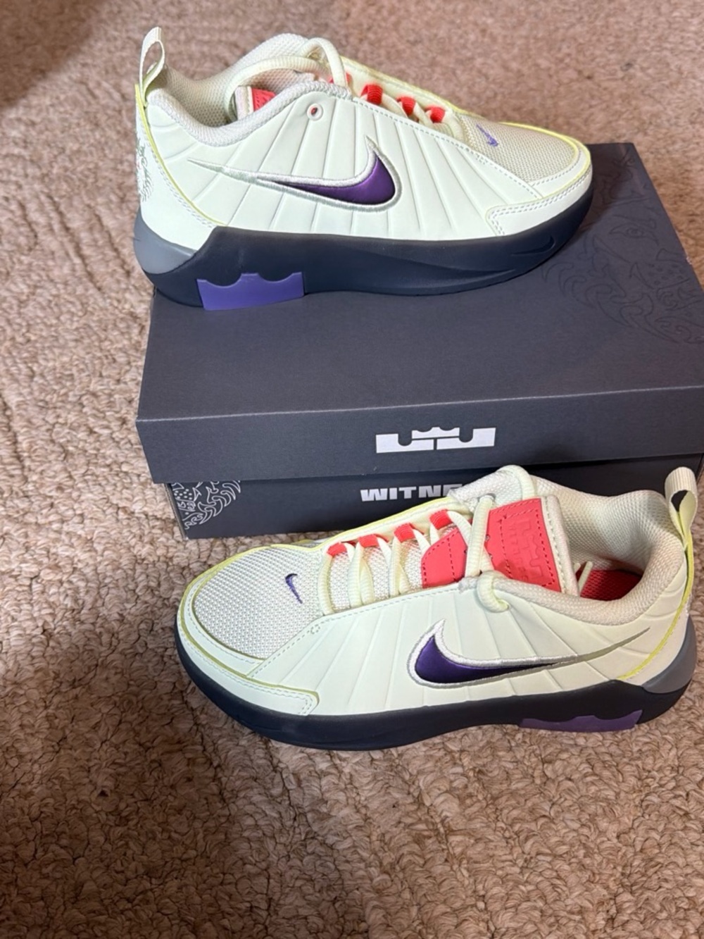 Nike LeBron Witness IX